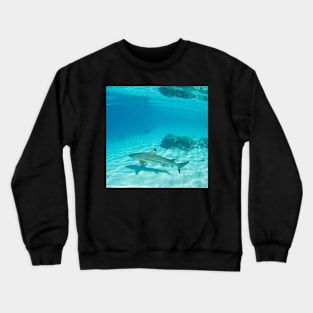 Tahiti Reef Shark & Coral Crewneck Sweatshirt